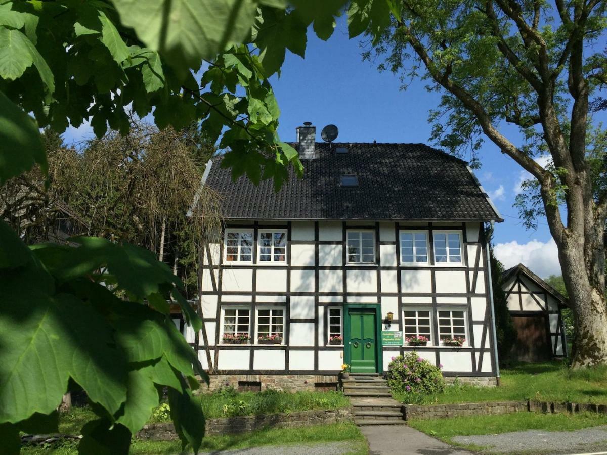 Ferienhaus Am Menzerather Weiher 몬샤우 외부 사진